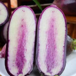 O1CN01N5ZDj51Zb9A74iEHd__2210261483212_jpg_q50_jpg