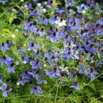 O1CN01ThYmb32Jkjfi23u5m__2213216199460