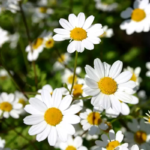 O1CN01cLPdgt2BdOJDt0o2n__2044468361-0-cib_1