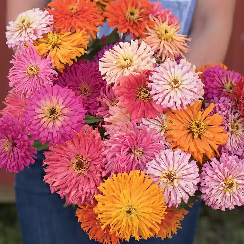 O1CN01Q6XuJ62JkjXcqtQXR__2213216199460_jpg_q30_jpg