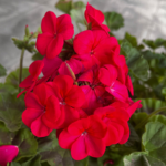 O1CN01rtFfF12BdOJF3SEye__2044468361-0-cib