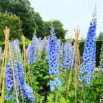 O1CN013iXwxj2JkjZwXQNYk__2213216199460