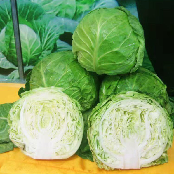 Megaton Hybrid Cabbage Seeds