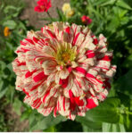 O1CN01HtST2T2JkjaINJzfZ__2213216199460_1