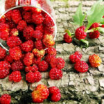 O1CN01diMfoN2Jkjlau1jZX__2213216199460_jpg_q50_jpg