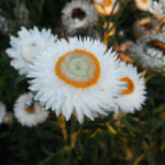 O1CN01VEQsJn2JkjmCpB1zM__2213216199460_jpg_q30_jpg