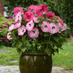 O1CN01CJhJXn2Jkjj1inYAY__2213216199460