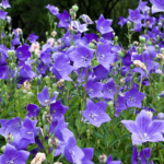 O1CN01e7Sspx2Jkjm1IZMdx__2213216199460