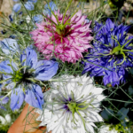 13254623171_500142703