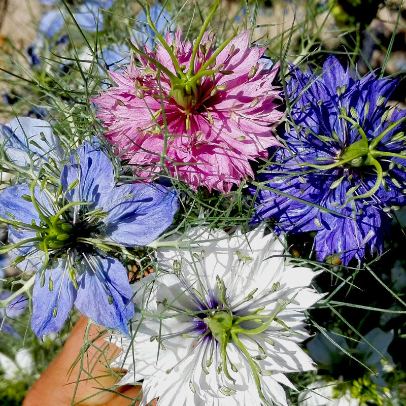 O1CN01TTJOsv2BdOQ7bs3OU__2044468361-0-cib_2