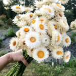 O1CN01qfMyMb2JkjenloAT3__2213216199460_jpg_q30_jpg