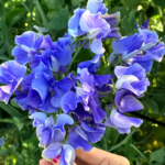 O1CN01mxvHcs2JkjlhEMgyW__2213216199460_jpg_q50_jpg