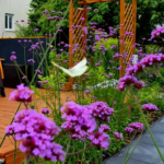 O1CN01w6YDWW2Jkjli1kSrr__2213216199460