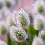 O1CN01OaZLlo2JkjgBYQCwV__2213216199460