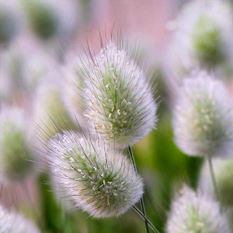 O1CN01U0HFwC2JkjZVrn0dh__2213216199460