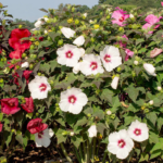 O1CN01CJhJXn2Jkjj1inYAY__2213216199460