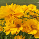 O1CN01omsRag1wtg6it85oA__753026366_jpg_q50_jpg