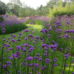 O1CN01NrBlMq2JkjXFNHJ8V__2213216199460-1