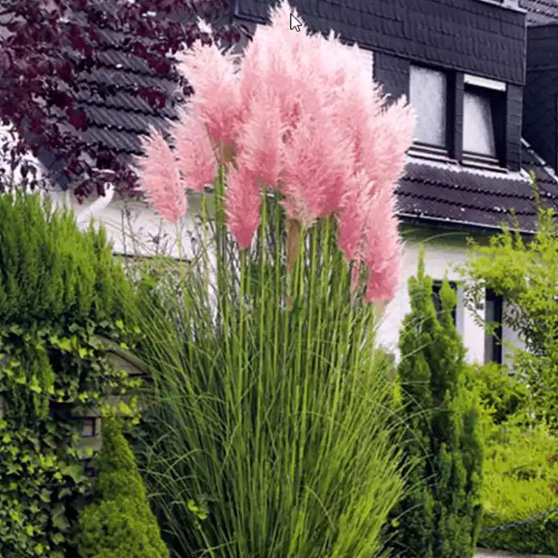 O1CN01VFInp91wtgELLNYNE__753026366_jpg_q50_jpg