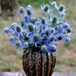 O1CN01OanZkf2BdOFva3GrI__2044468361-0-cib