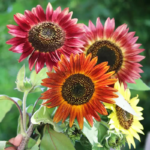 28147_pwyxgvn5jkpoihtv