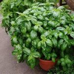 O1CN0147JRre2JkjlUqUSzW__2213216199460_jpg_q50_jpg