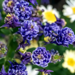 O1CN0161hYQI2JkjevErWBp__2213216199460_jpg_q30_jpg