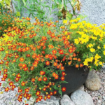 O1CN014M60sN2JkjlroRnVv__2213216199460