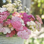 O1CN01Z24BS42Jkjm4g9O2Y__2213216199460-1.jpg_q50-1.jpg__1-1