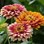 O1CN01Vpd5JH2JkjXYvstrn__2213216199460_jpg_q30_jpg_430e3d5f-558b-4399-be89-fc806f9389d0