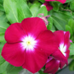 O1CN01WENGJt2JkjleHXcUf__2213216199460