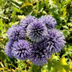 O1CN01WNbJZ12BdOFBJsSDY__2044468361-0-cib