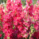 O1CN01pNBoQm2Jkjla1G9ti__2213216199460_jpg_q50_jpg