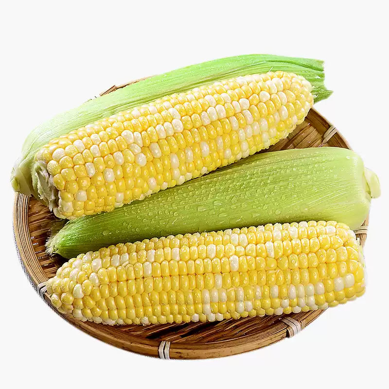 O1CN01Wnpxvs2GtwiR4Z1eA__2211340869074_jpg_q50_jpg