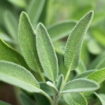 O1CN01Mjor7Z2Jkjli3tr6f__2213216199460_jpg_q50_jpg