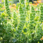 O1CN01D1KqUC2JkjllT4gaQ__2213216199460_jpg_q30_jpg