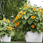 O1CN013Z8jmh2Jkjb5UHuK3__2213216199460