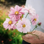 O1CN01VdL6aL1wtgHdKsMc7__753026366_jpg_q50_jpg