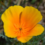 O1CN01JDJZmX2JkjXpzJph1__2213216199460_jpg_q50_jpg