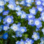 O1CN01tsTCNQ2Jkjm2kFhp4__2213216199460_jpg_q50_jpg