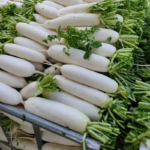 radish-organic-japanese-daikon-shk-2