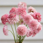 O1CN01UNPlbo2JkjbTqbQBt__2213216199460_jpg_q50_jpg