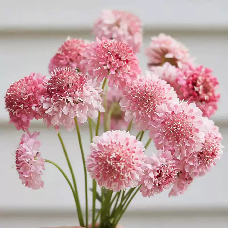 O1CN01YU2Hh82JkjbblvHIF__2213216199460_jpg_q50_jpg