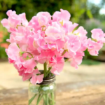 O1CN011MItrf2JkjlVtn7YF__2213216199460_jpg_q50_jpg