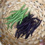 O1CN01Syp98T1XUcEpeR2rn__23922927