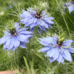 O1CN01BUpugv2JkjbJTN4kf__2213216199460_jpg_q30_jpg