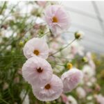 O1CN01St3xc52JkjWzJtGRR__2213216199460