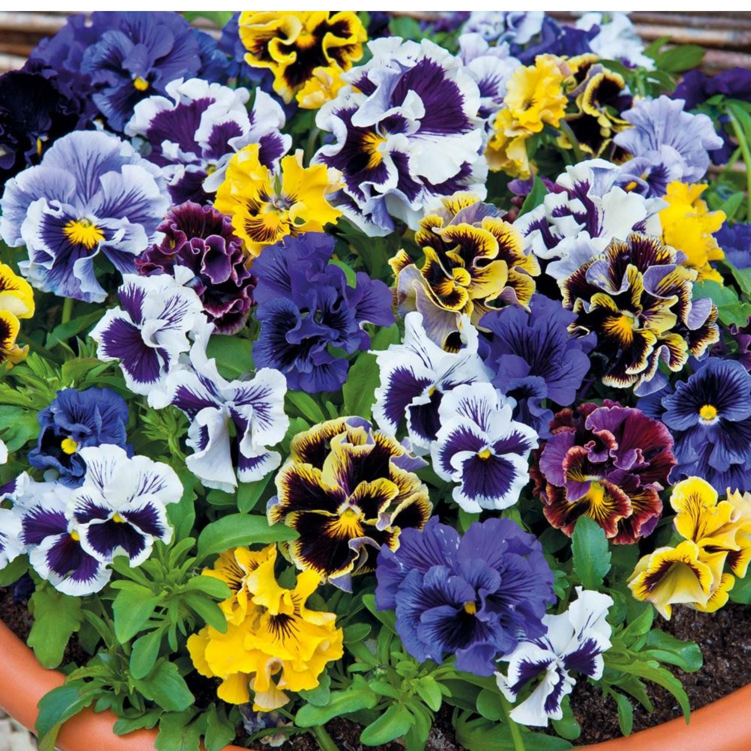 O1CN01ZaY6zU2JkjYhxIs4n__2213216199460_cdf55161-8d7a-4cca-910d-c9287c18ddfa