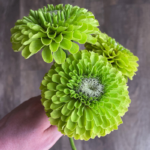 O1CN01bWpkWK2JkjfmNQjHh__2213216199460_jpg_q50_jpg