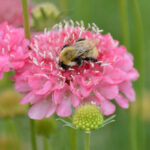 O1CN019QAzD42JkjaVT13eH__2213216199460_jpg_q30_jpg